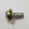 Screw  With Integrate Washer