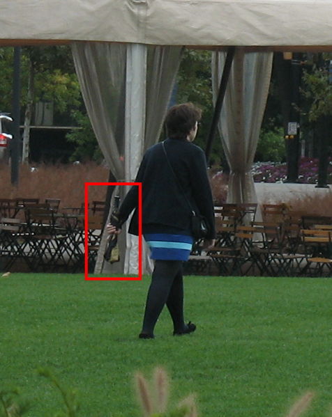 Image:Lady holding umbrella annotated.jpg