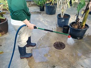 The user emptying (and wasting) the hose from its water, waiting for the fertilizer to come out