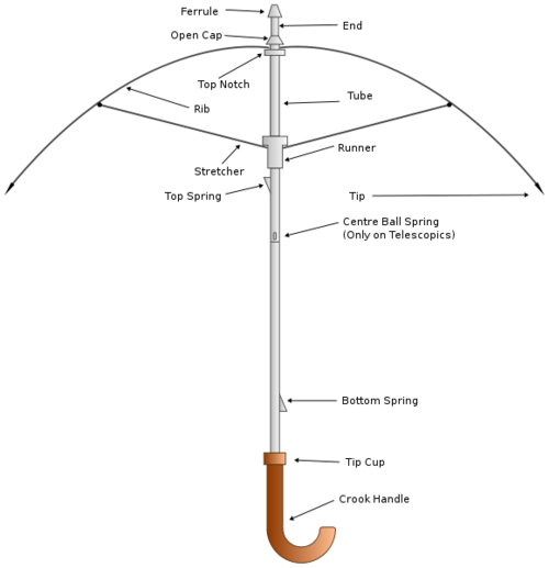 Figure 2. Parts of an Umbrella